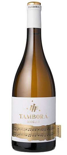 2025er Tambora Godello D.O. Ribeiro